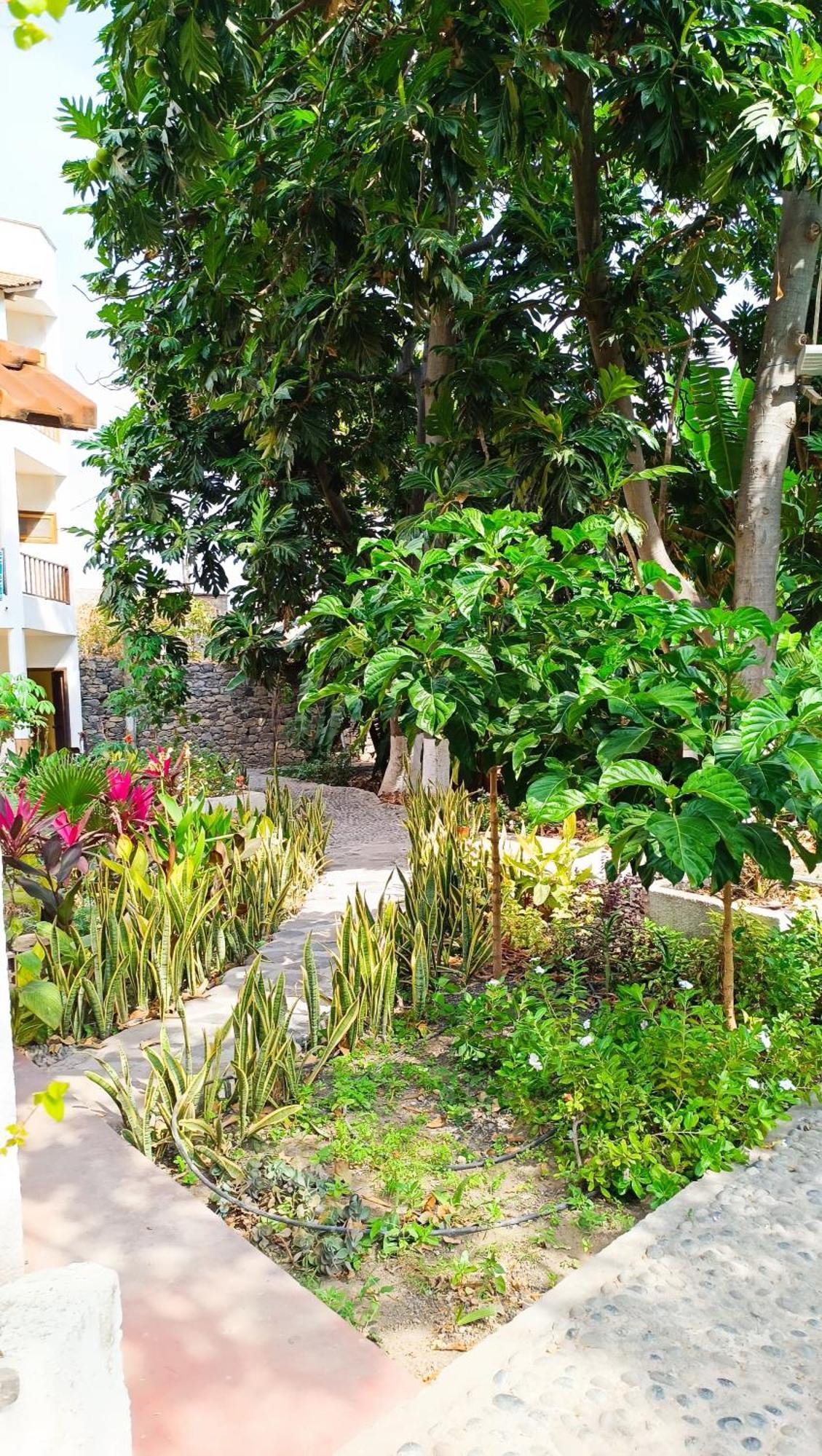 Hotel Oasis Paul Residencial Exterior foto